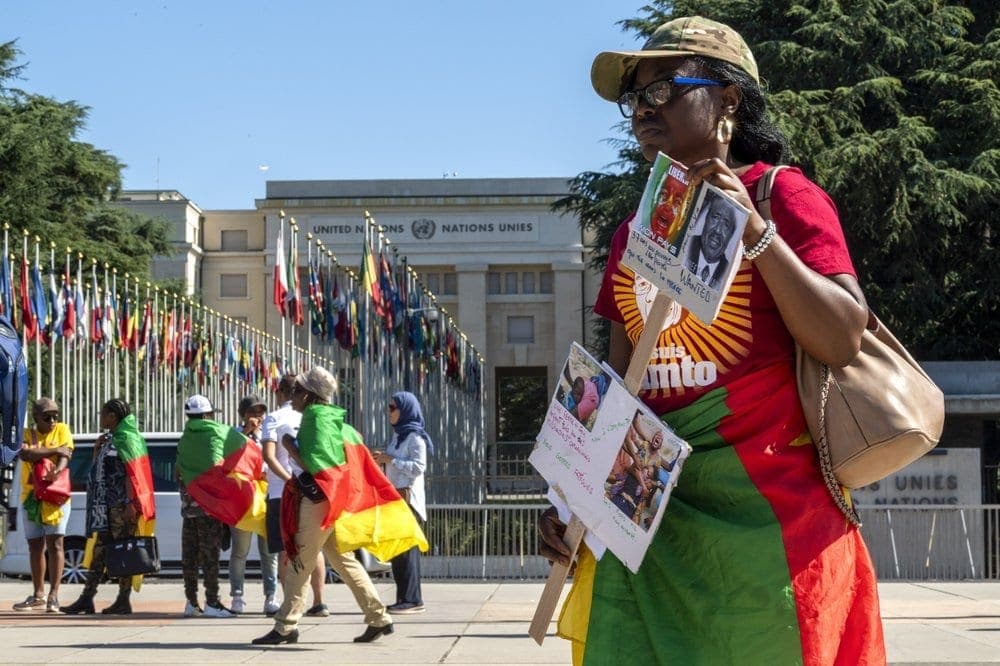 A demonstrator in Cameroonian colours holding placards outside the United Nations offices in Geneva, with other protesters wrapped in Cameroonian flags behind her.