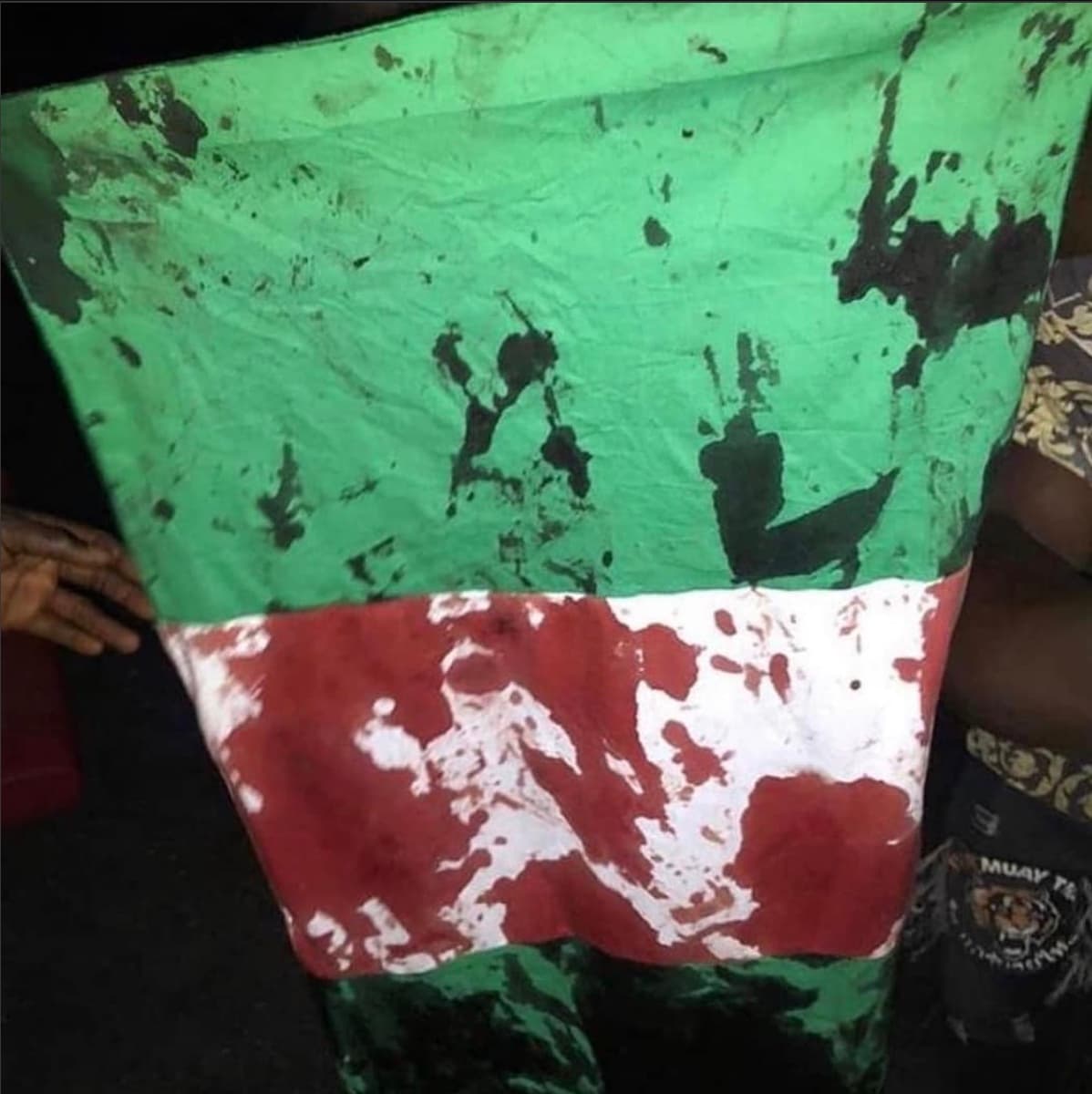 A Nigerian flag held up at night, its green and white heavily stained with blood.